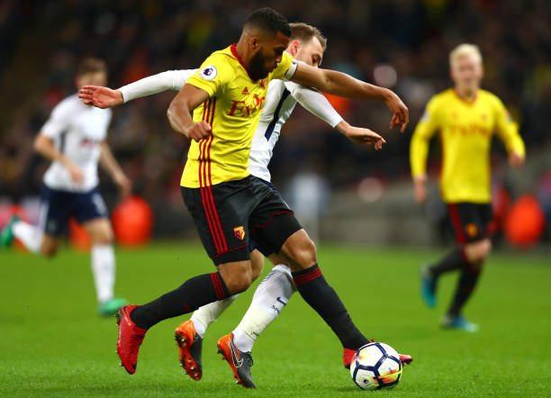 皇家社会不 皇家社会不