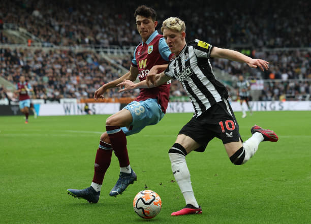 奇后卫老图 奇后卫老图